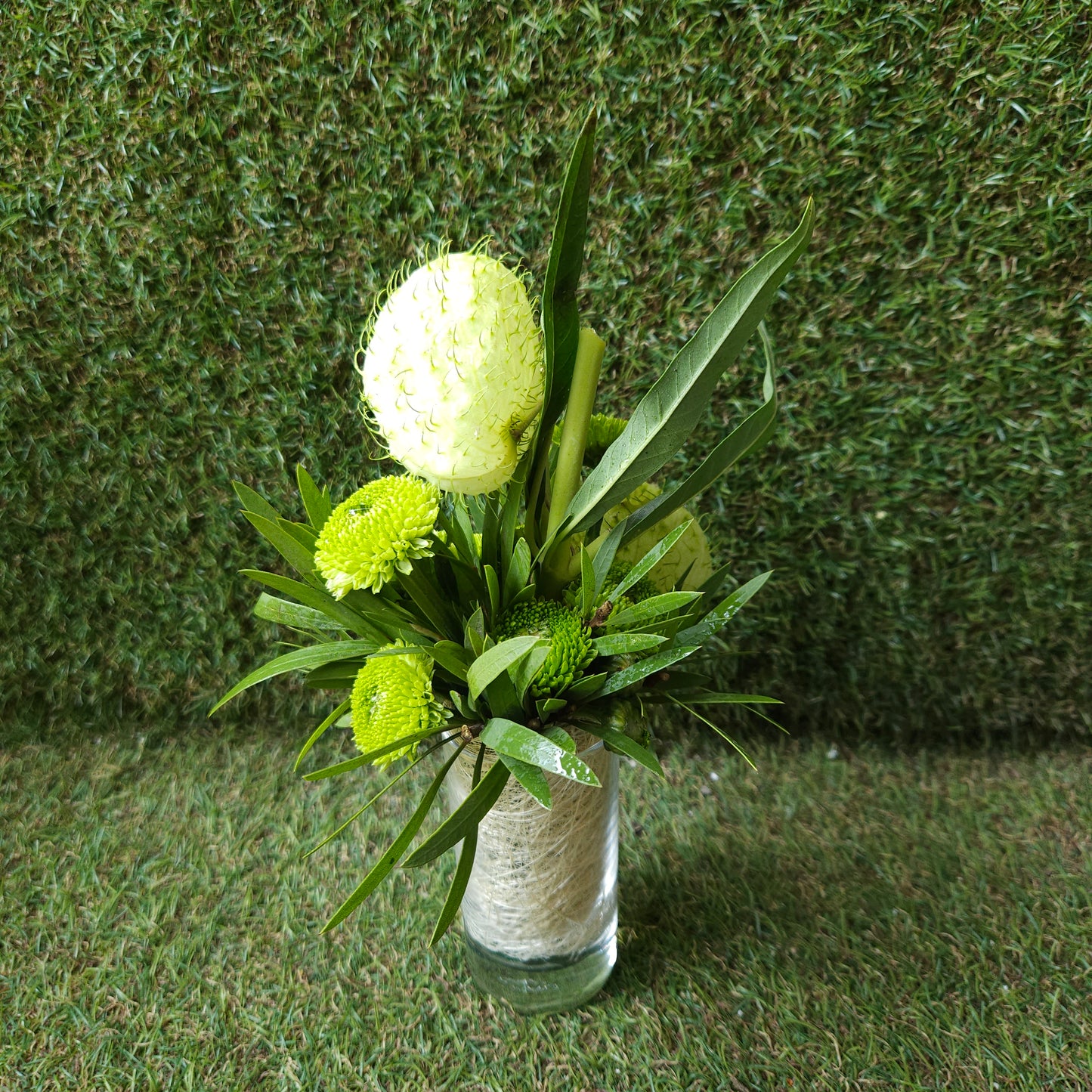 "Nature's Miniature"