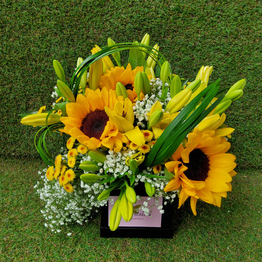 "You Are My Sunshine" Arrangement