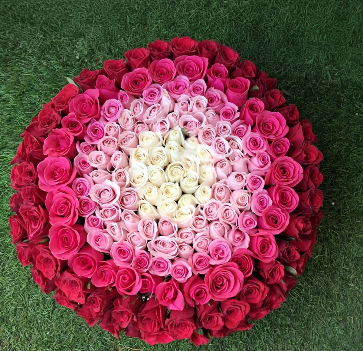 "Shades of Love" Ombre 200 Roses Floral Arrangement